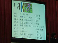 20110221_engei4